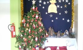 natal_apa4.jpg