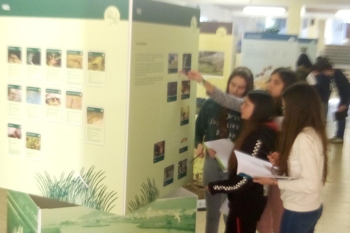 Exposição_Rede Natura_1.jpg