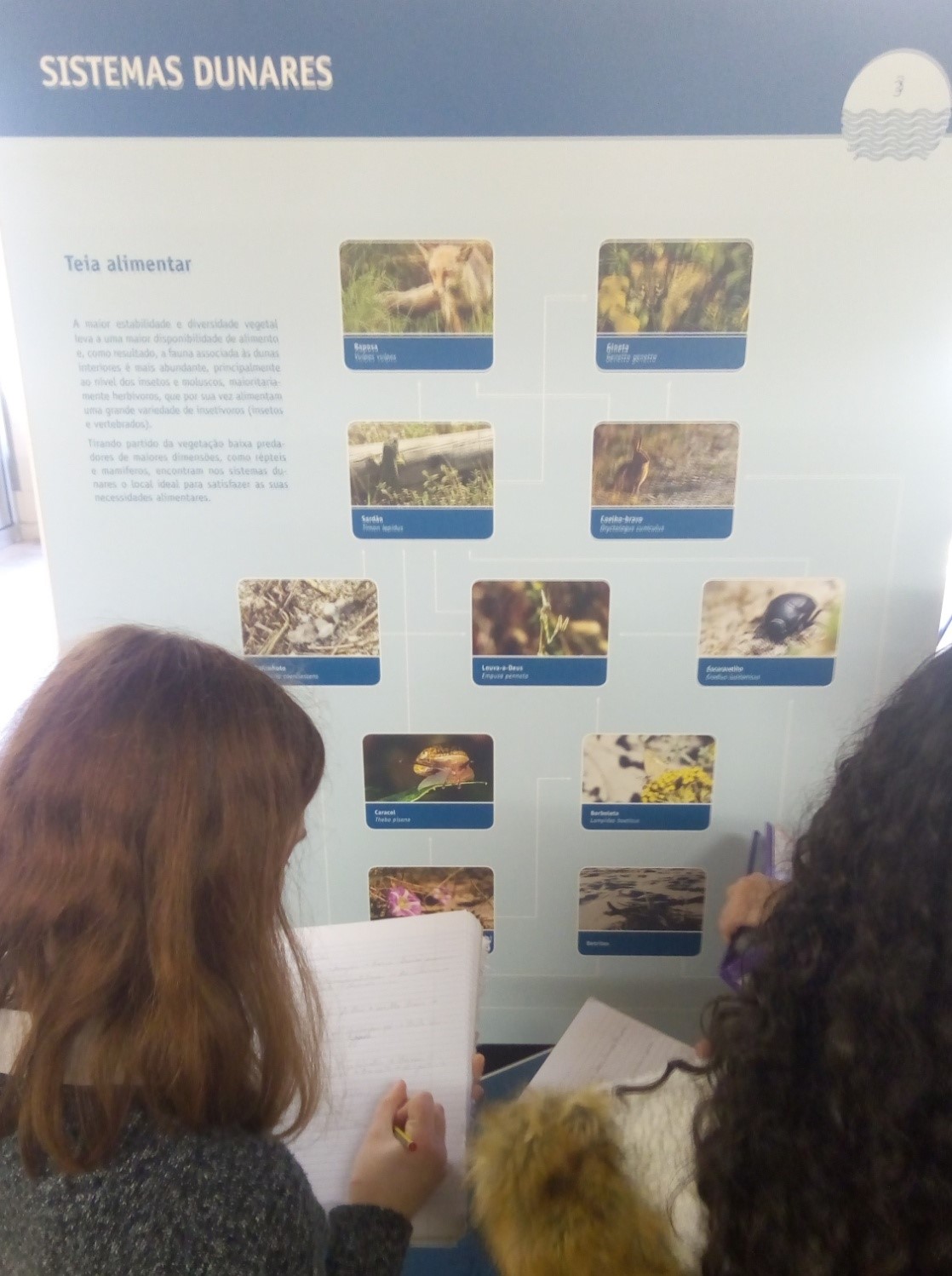 Exposição_Rede Natura_2.jpg