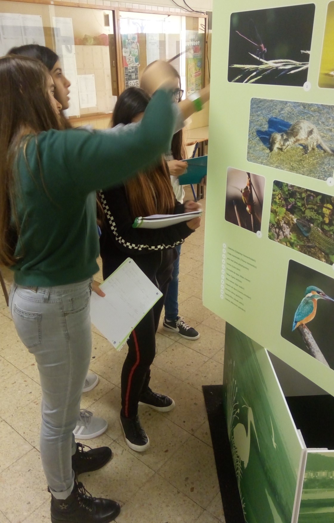 Exposição_Rede Natura_4.jpg