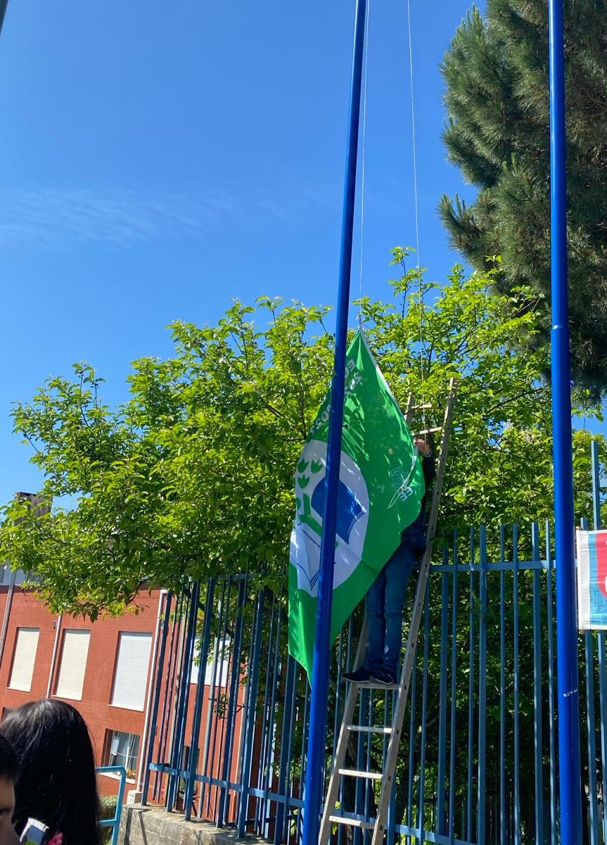 Hastear Bandeira verde 2022 2023
