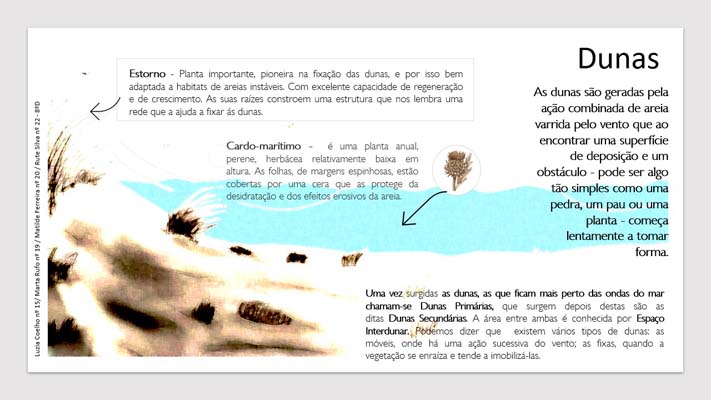 13 dunas 8ºD