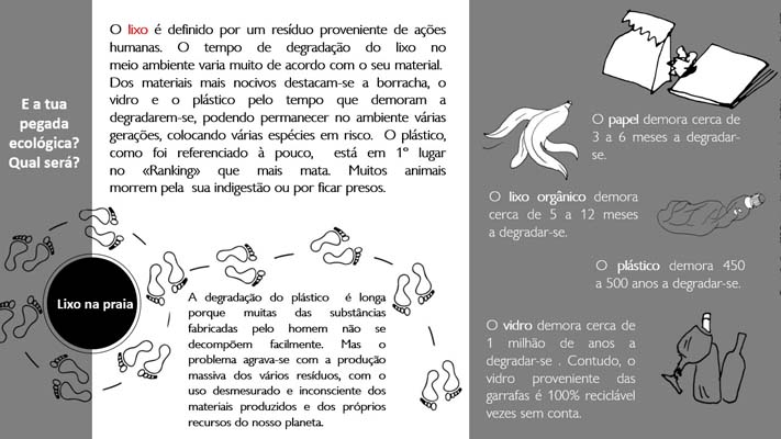16 LixoPraia 8ºD