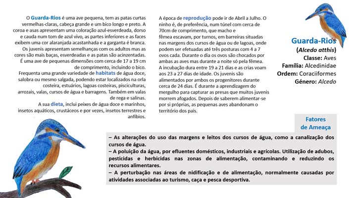 17 GuardaRios 8ºE