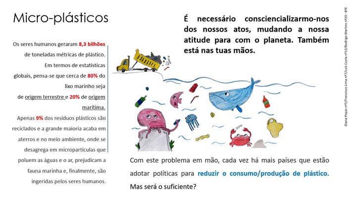 18 Micro Plasticos 8ºE
