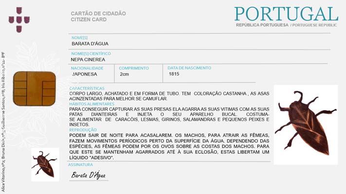 21 Barata 8ºF