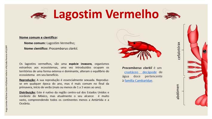 25 Lagostim 8ºF