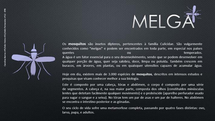 4 Melga 8ºB
