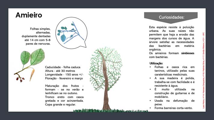 7 Amieiro 8ºC