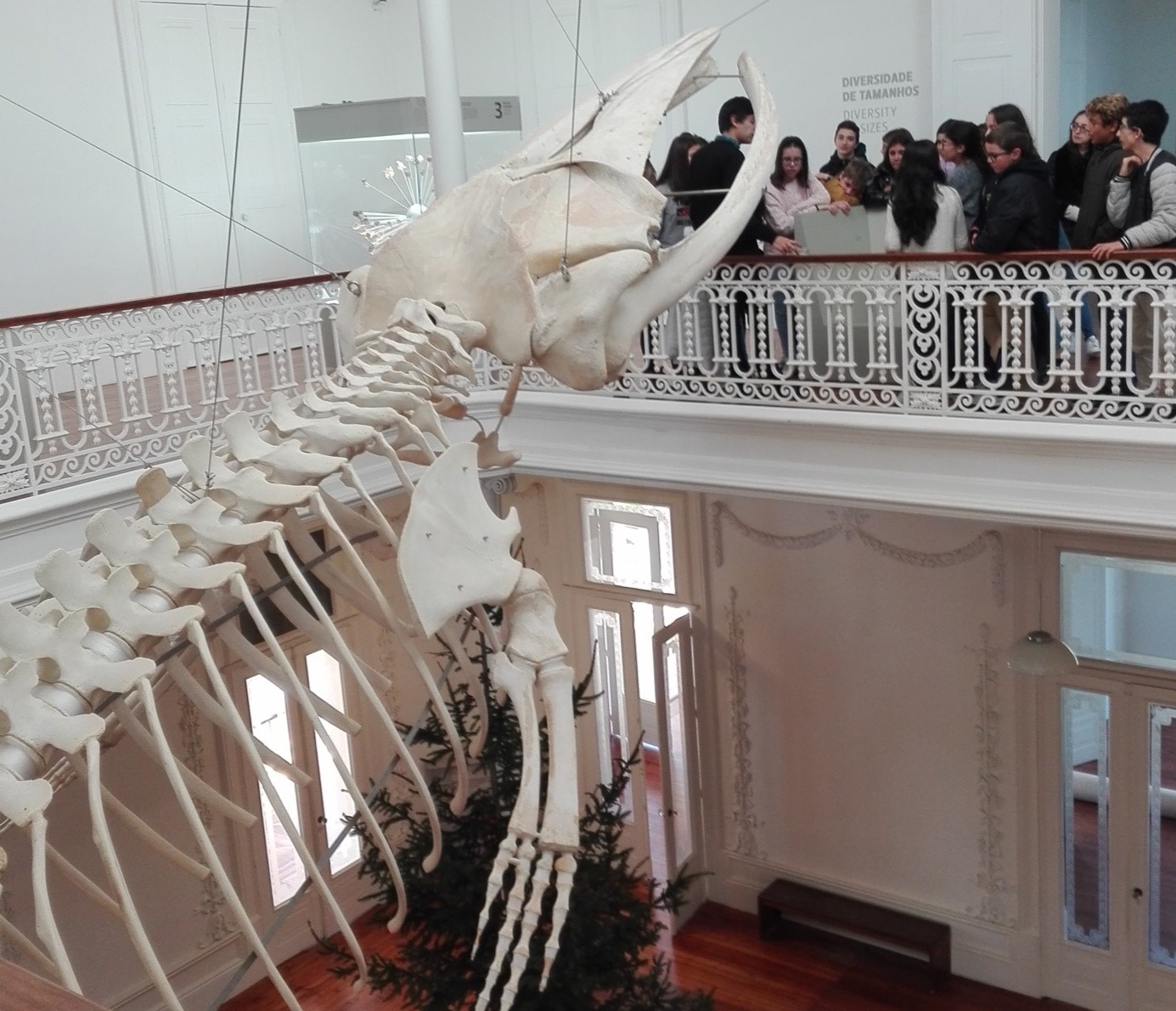 Pavilhão da Biodiversidade1.jpg