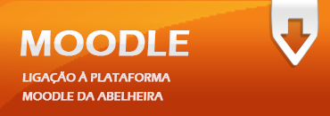 bn moodle
