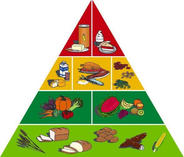 Palestra sobre alimentação saudável