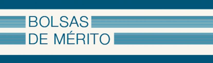 Bolsas de Mérito: 10.º ano de escolaridade