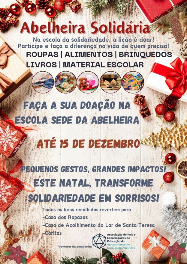 Natal Solidário