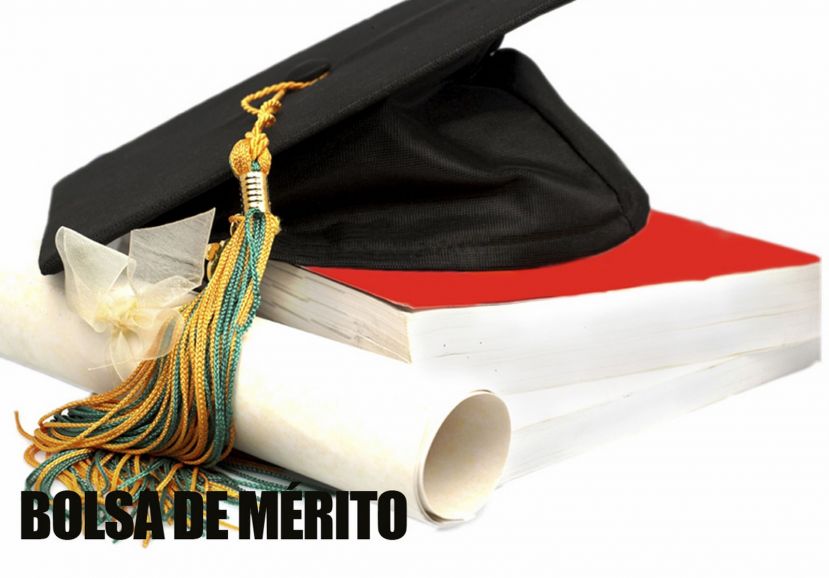 Candidatura à Bolsa de Mérito: 9.º ano