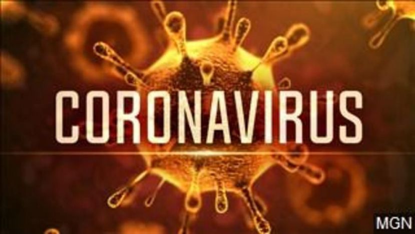 Informação: coronavírus