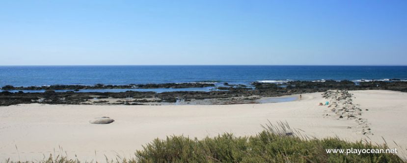 Projeto Escola da Natureza (Praia rochosa)