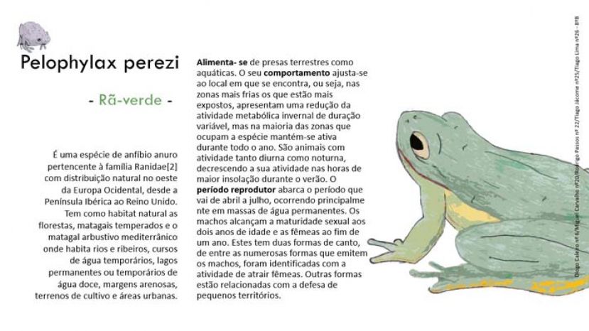 Infografia-CMIA
