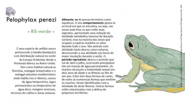 Infografia-CMIA