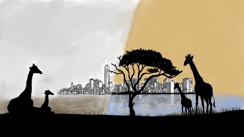 Alterações climáticas