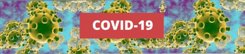 2019-2020: COVID-19 - Escola de Acolhimento