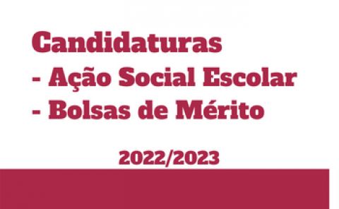 Candidatura Bolsa de Mérito