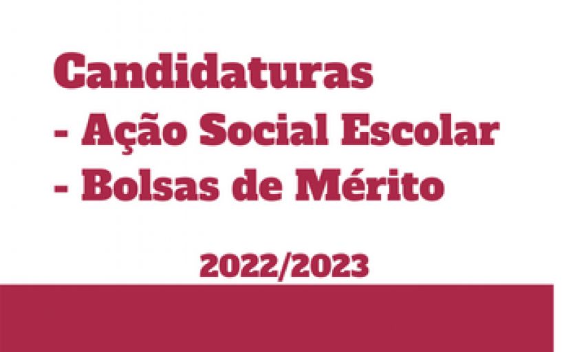 Candidatura Bolsa de Mérito