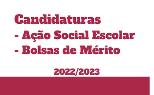 Candidatura Bolsa de Mérito