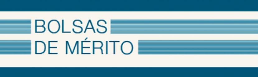 Bolsas de Mérito