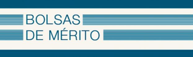 Bolsas de Mérito